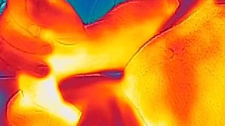 Flir cumming in car thermal video