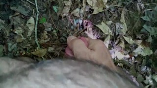 Morning Jaunt in the Woods