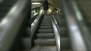 Wearing Latex on public escalator