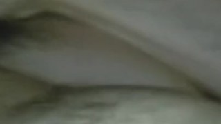 Twink pup plays with his bone