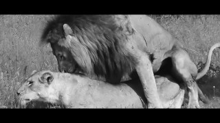 CONTEST: Win Fan will get a Dinner with me