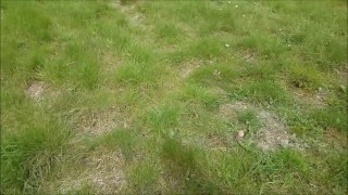 Outside Sex & Swallow in the Countryside
