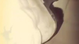 Solo male
