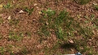 Sexxycandyxxx gets some sun 2