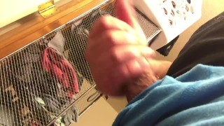 Thick Quick Jerk Session