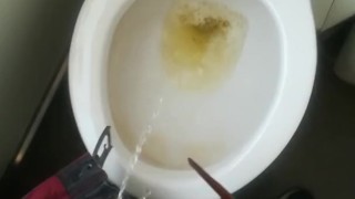 Unpacking and pissing in the clogged train toilet