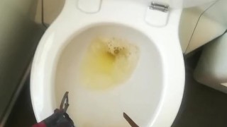 Unpacking and pissing in the clogged train toilet