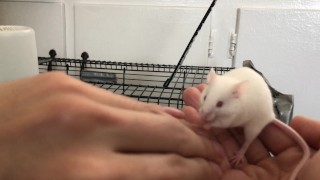 Lovely chunky fluff Cheese says hi everyone!