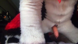 Husky Fursuit Cumshot