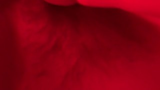 Fucked with vibrator/dildo until I cum