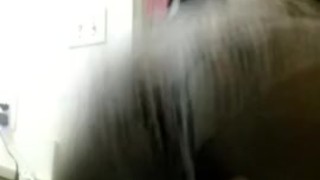 Sexy ass