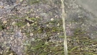 Peeing at the local reservoir. Somebody drove by when I was done.