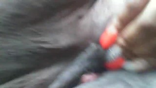 Fat pussy cat have that roar