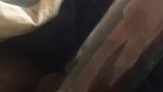 Dick pump