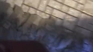 Jacking Off On The Toilet