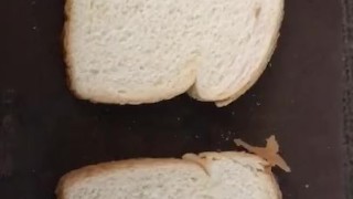 Two Breads