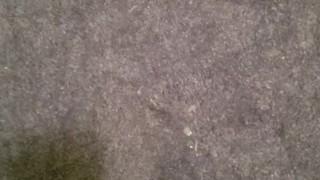 Cum explosion
