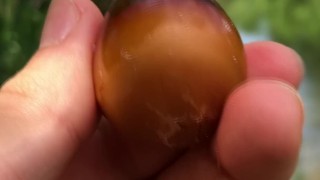 Cracking my old egg