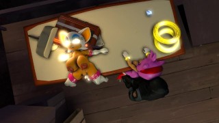 Amy and Rouge Ambushed (cm5)