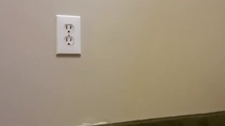 Rug piss