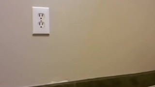 Rug piss