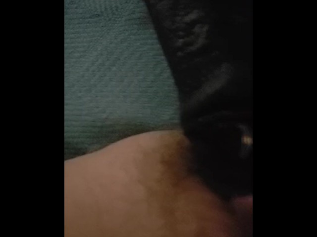 Disabled Woman Uses Large Black Horsecock Dildo Inside Tight Wet Pussy 