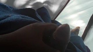 Morning Wood part 1