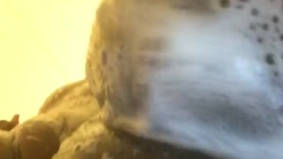 When u fuckin wit me