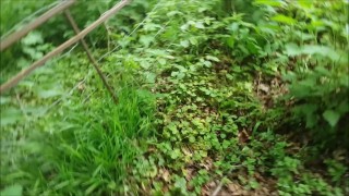 Quick Fuck Stop While Walking the Dog