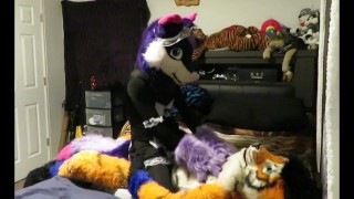 Servicing the Tiger Part One