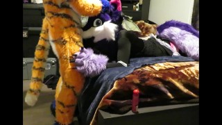 Servicing the Tiger Part One