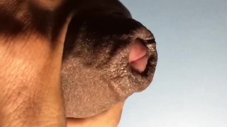 Get Closer To 4Skin