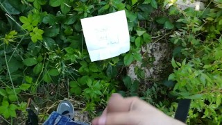 Public masturbation: the trees next to the park!