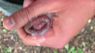 Close up look on glans with precum and close up cum leaking - uncut cock
