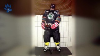 Rubber hockey pup pawing off