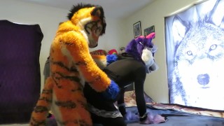 Servicing the Tiger Part Two