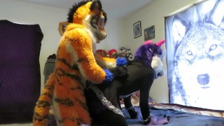 Servicing the Tiger Part Two