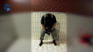 skinpup pawing off with sneaker