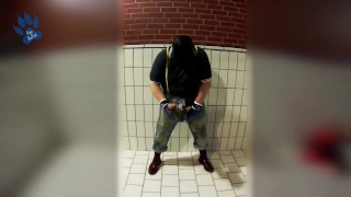 skinpup pawing off with sneaker