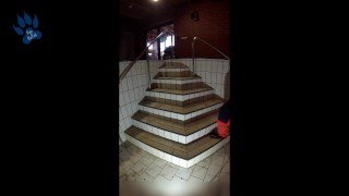 Rufus pawing off in Raingear