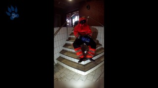 Rufus pawing off in Raingear