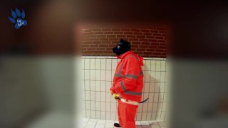 Quick paw in raingear