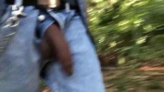Cock Out On The Trail