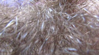 Extreme hairy bush in close up