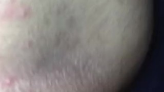 Kitten Fun