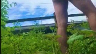 Train flash