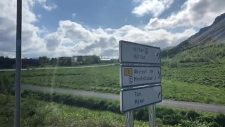 WEEK IN REVIEW #5 | HARPERMADI