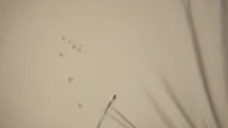 Straight friends bed ooops