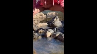 Risky Public Nude Pissing in the River