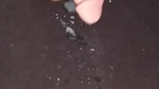Quick cam clip